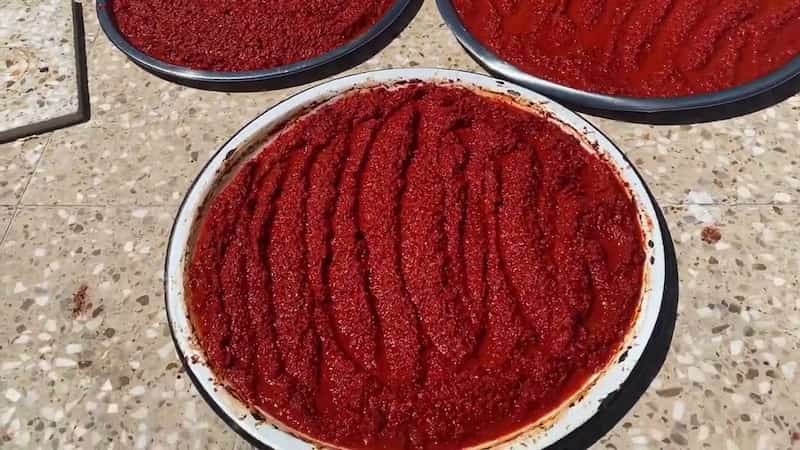 تصویر 3 از رب گوجه فرنگی اویلا با فرمولاسیون استاندارد و طعم مطلوب
